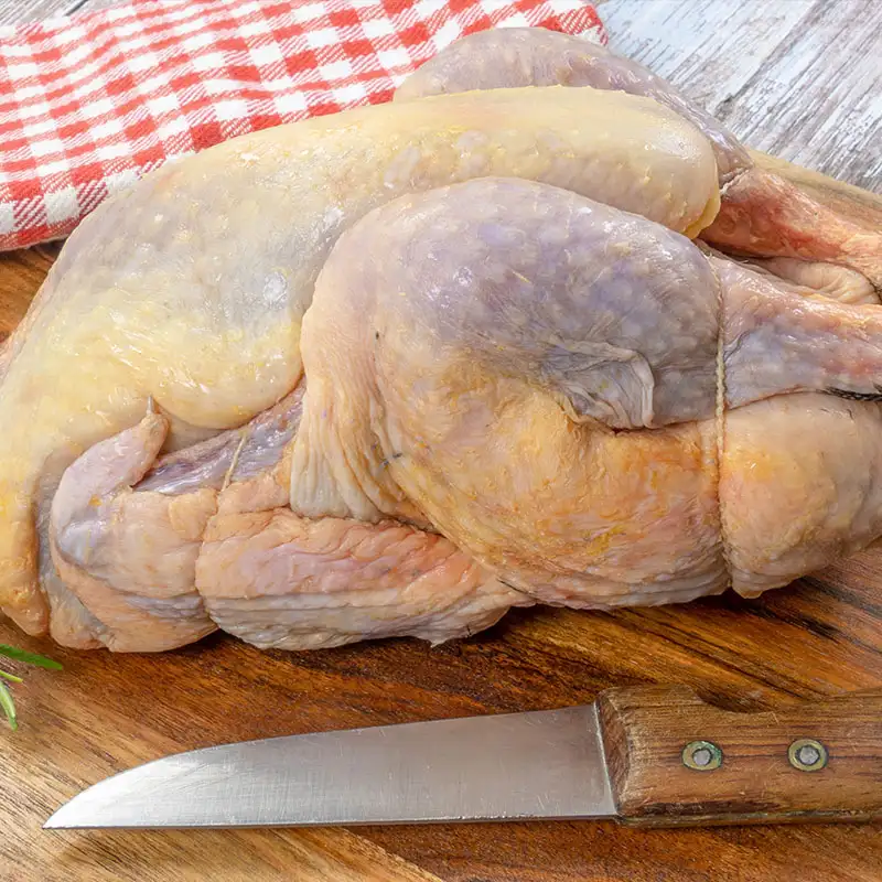 Pintade